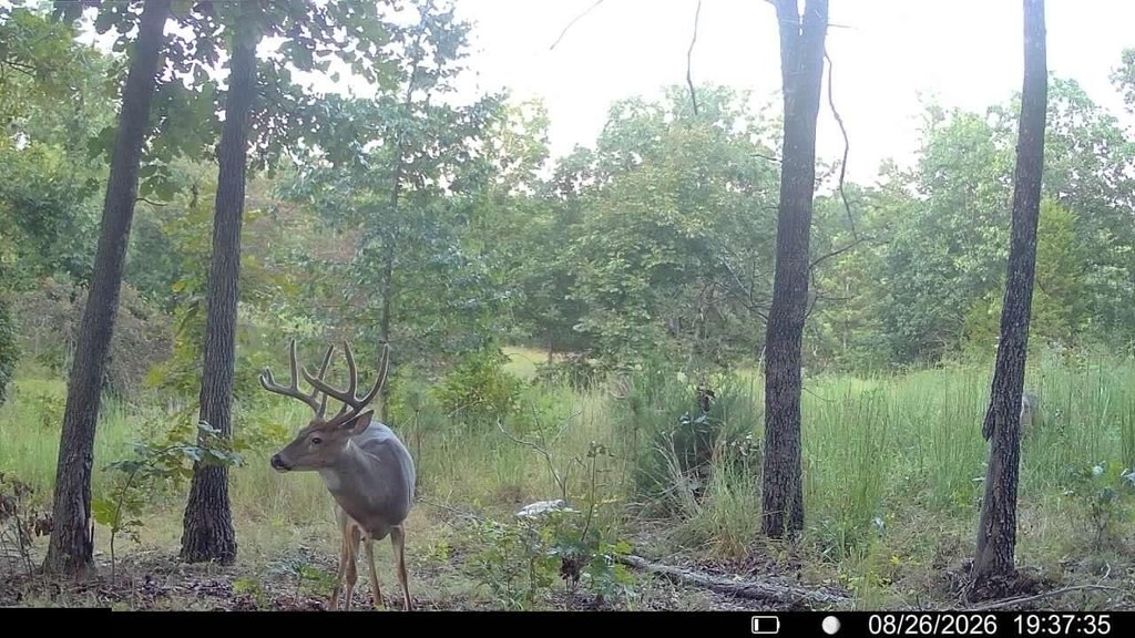 Picture 14