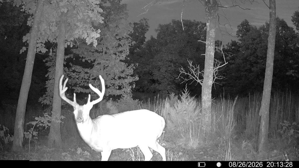 Picture 5