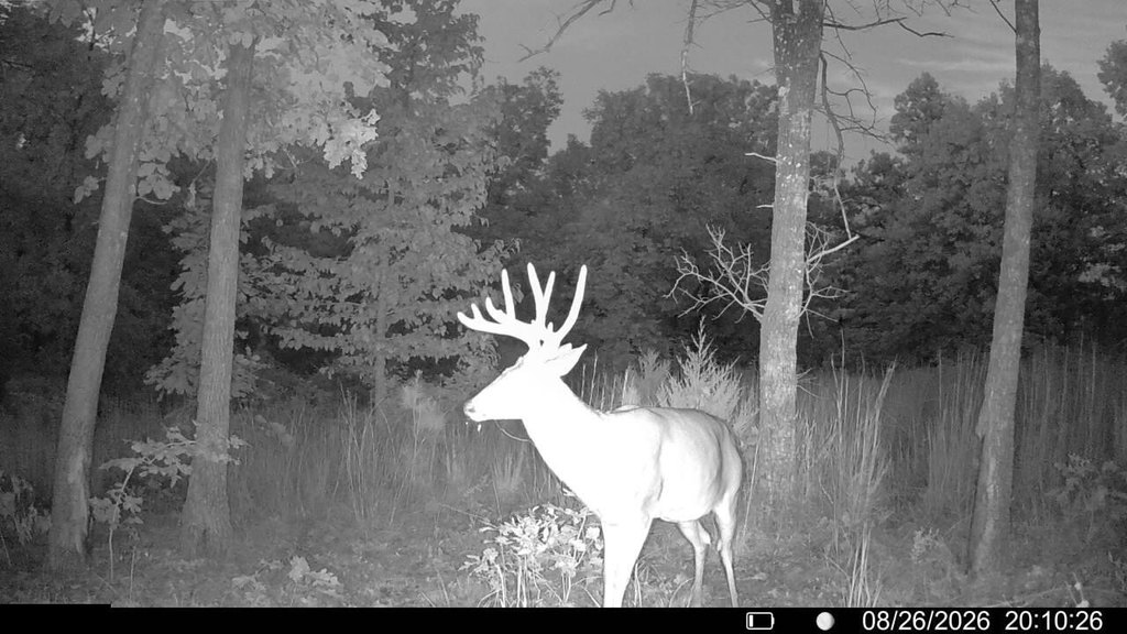 Picture 6