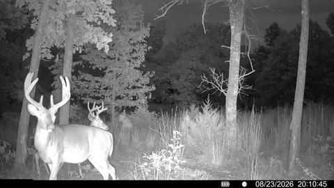Land, Summersville, MO