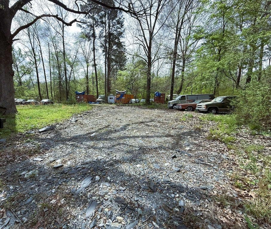 Picture 6