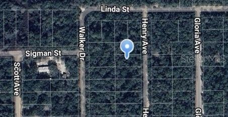 Land Near Lake Grandin
