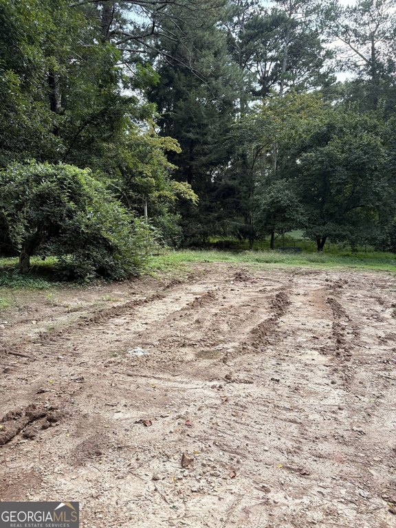 Picture 3