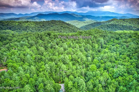 Residential Land in Sevierville, TN