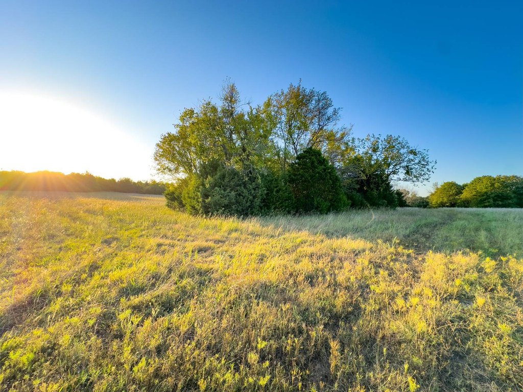 Picture 8