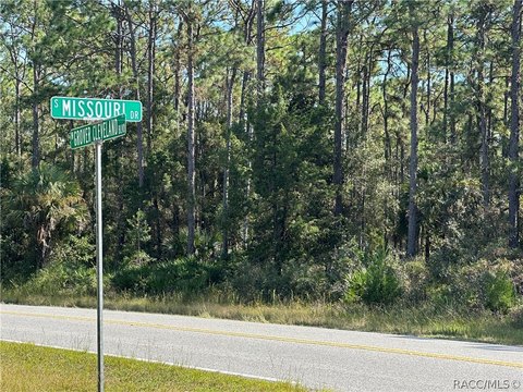 Homosassa Building Parcel: 18 Lots