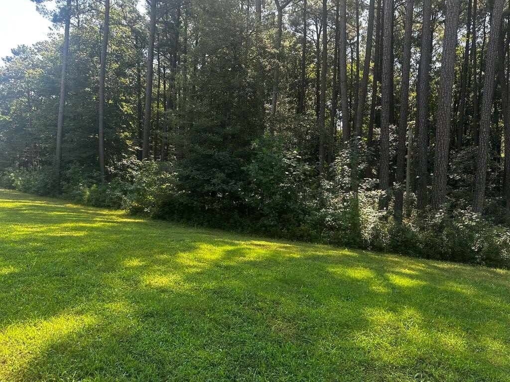 Picture 3