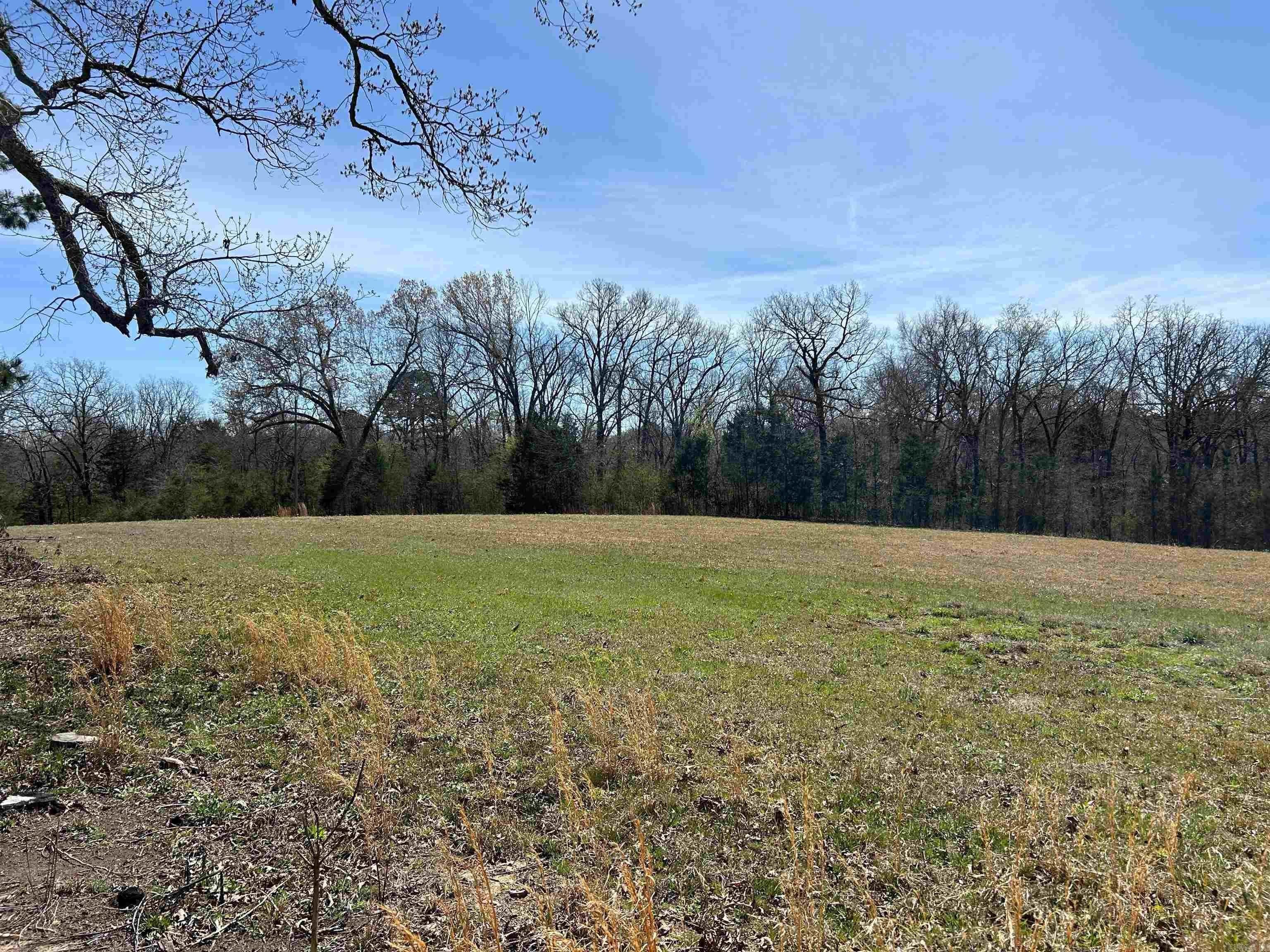 Residential Land in Mena, Arkansas