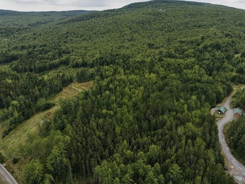 Wooded Recreation Land Parcel