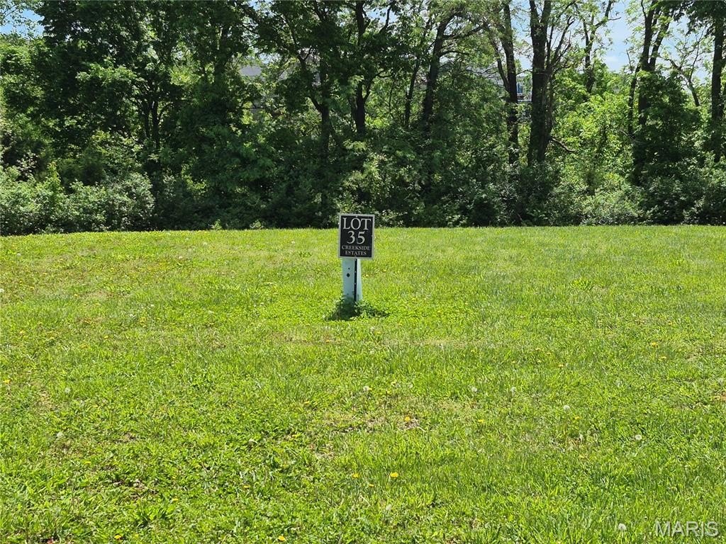 Waterloo, IL Residential Lot