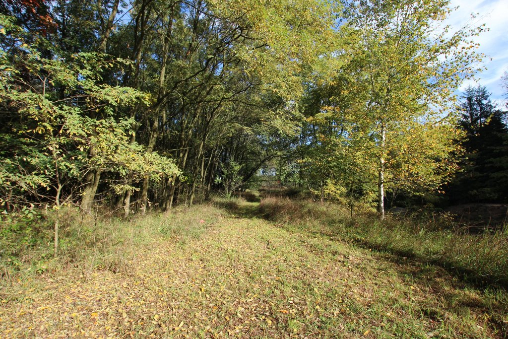 Picture 8