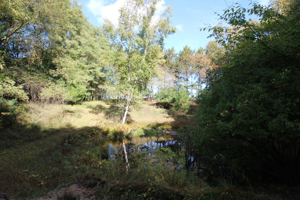 Picture 13