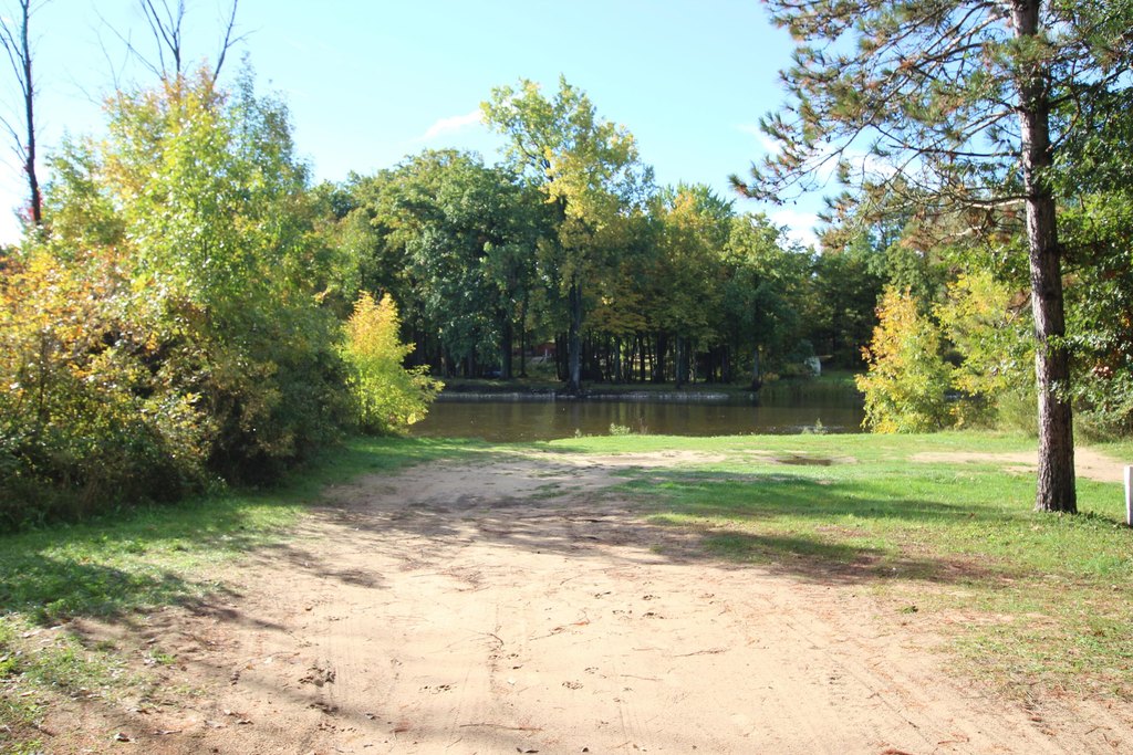 Picture 29