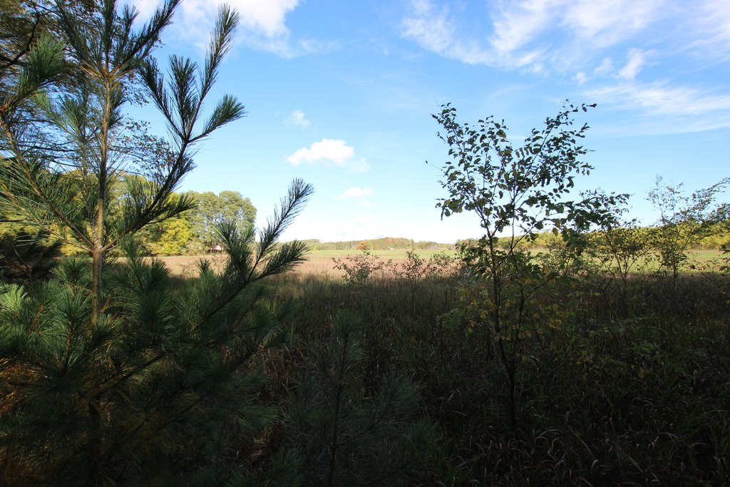 Picture 10