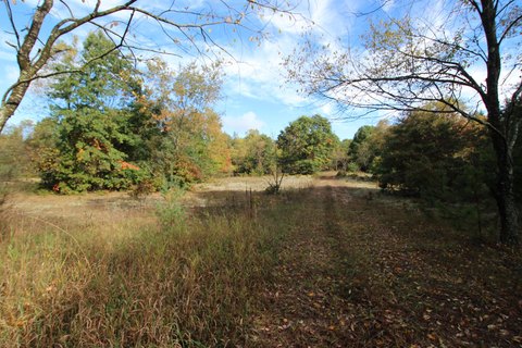 Wooded Hunting Land with Pond