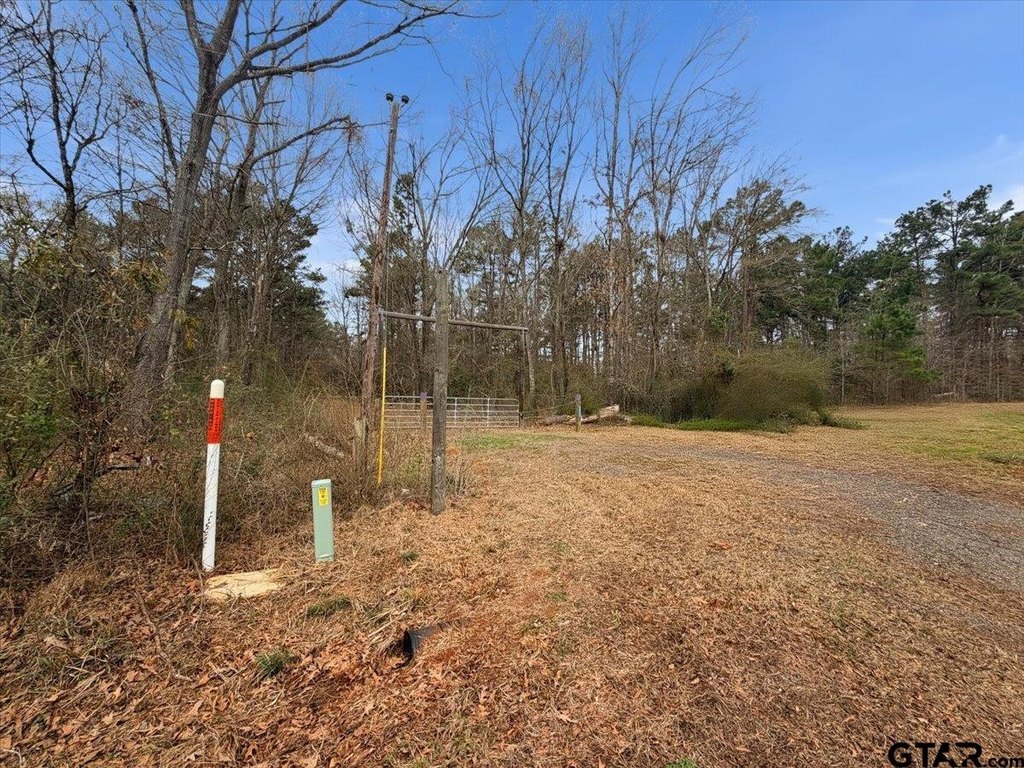 Picture 15