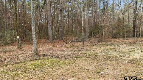Wooded Hunting Land with Seasonal Creek