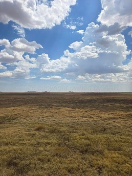 Land -40, Amarillo, TX