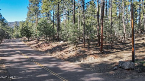 Land in Pine, Arizona