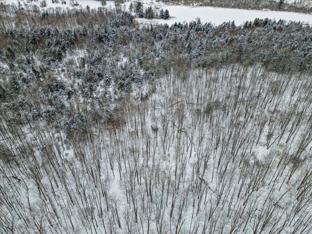 Picture 39
