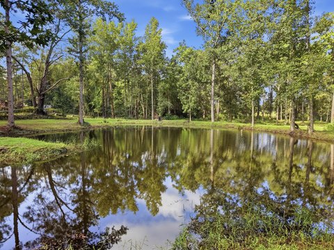 Land, Laurel Hill, FL