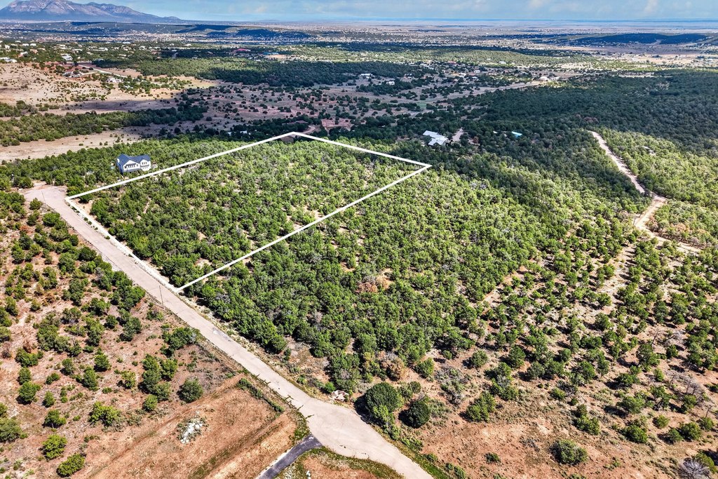 Picture 11