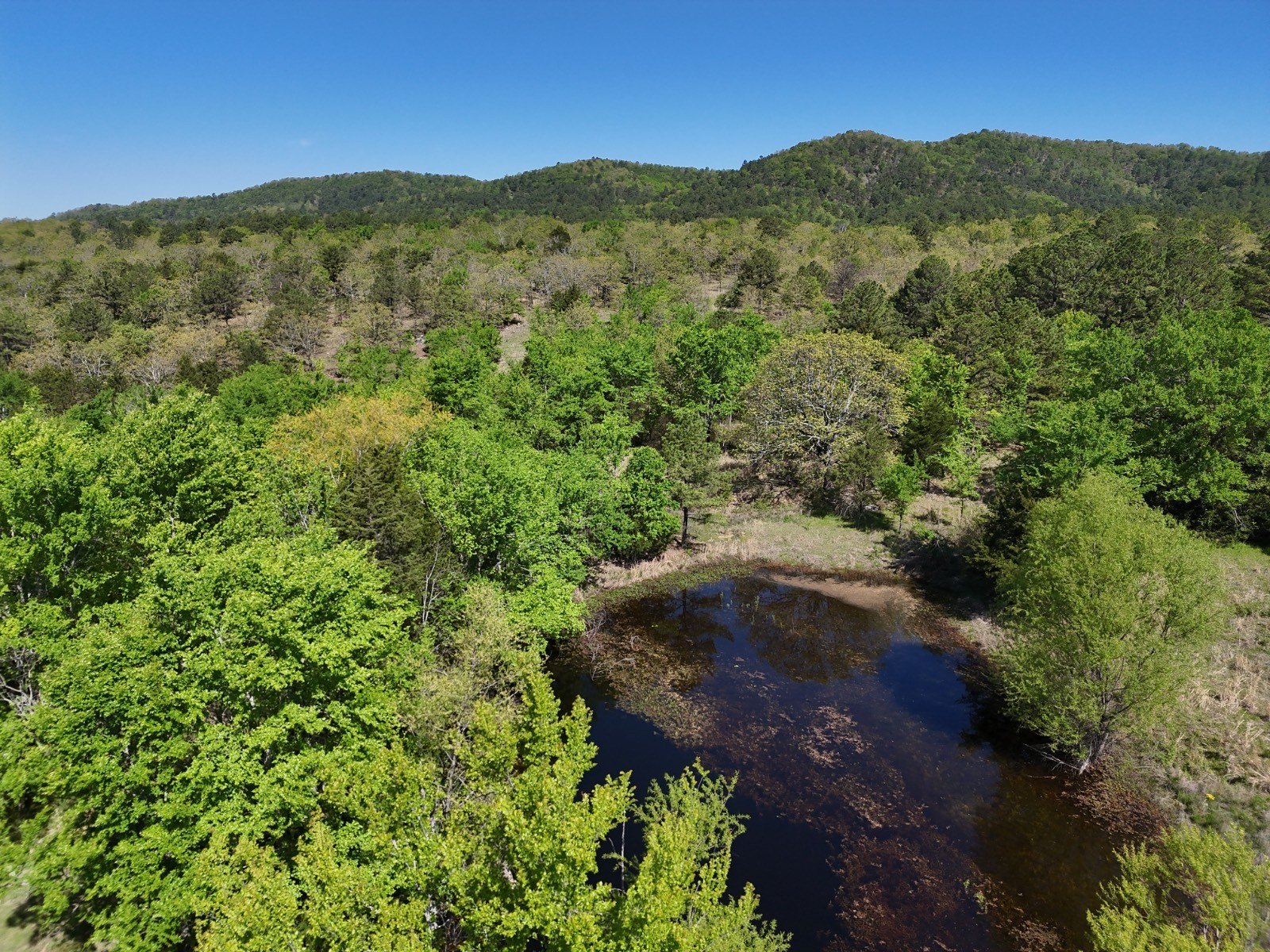 9.2 Acres Vacant Land