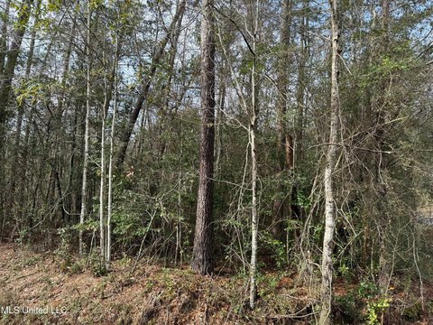 Diamondhead, MS Building Lot