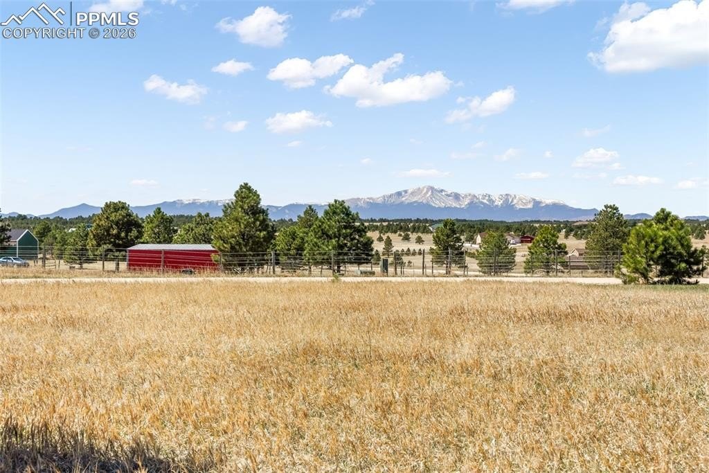 Peyton Pines 5-Acre Parcel