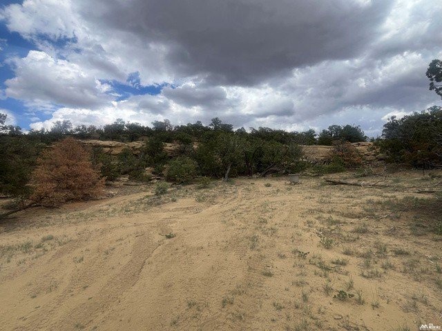 Picture 25