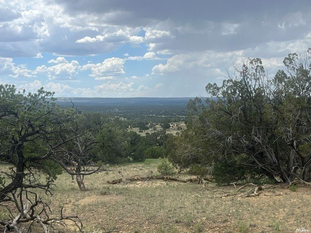 Picture 29