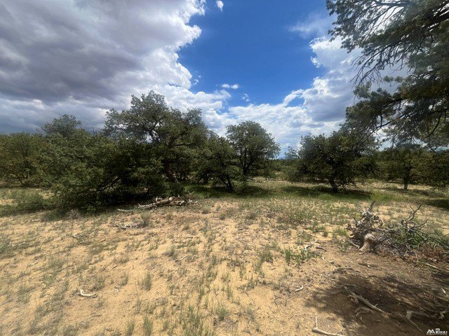 Picture 23