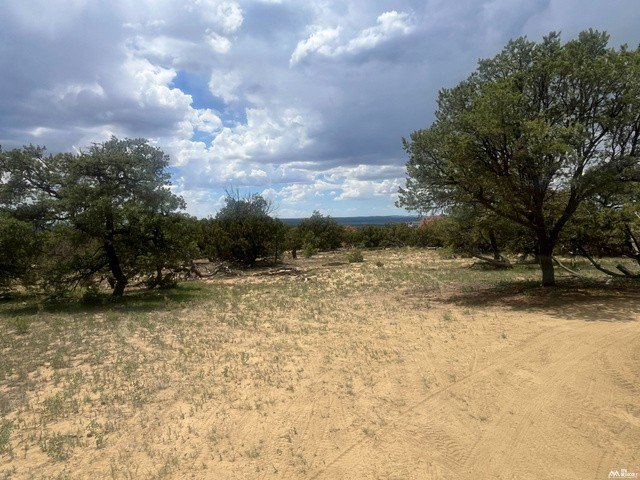 Picture 22