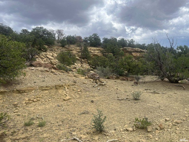 Picture 27