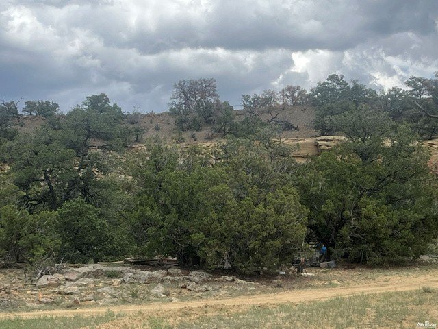 Picture 26