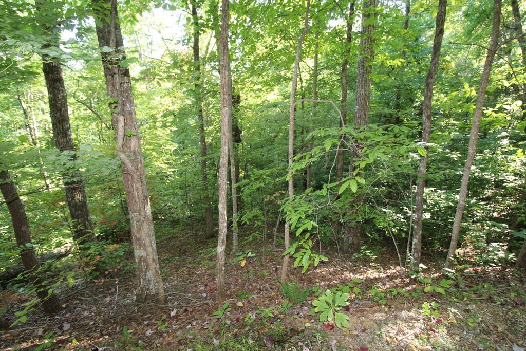 Picture 9