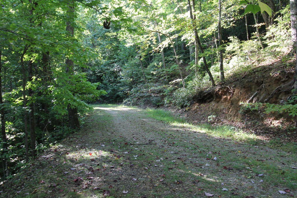 Picture 5