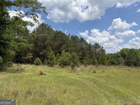 Land, Toomsboro, GA