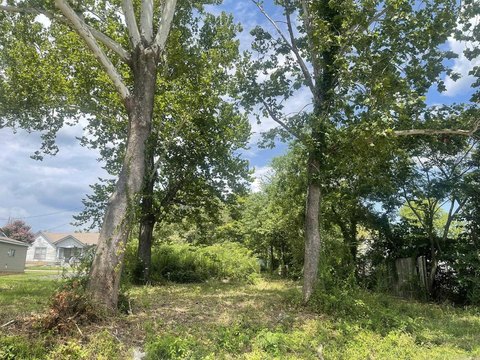 Level Lot in Mena, AR