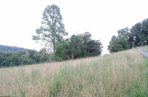 Lots/Land, Grafton, WV