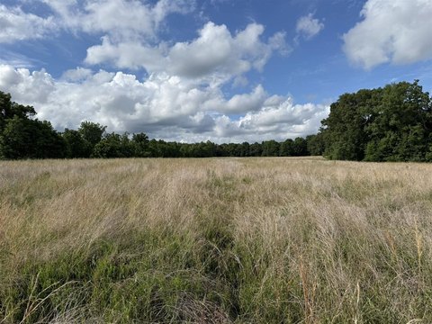 Nolin Lakefront Land Parcel
