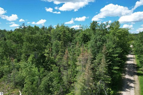 Recreational Hunting Land Parcel