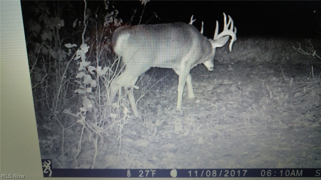 Picture 47