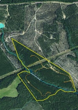 Open And Wooded Hunting Land