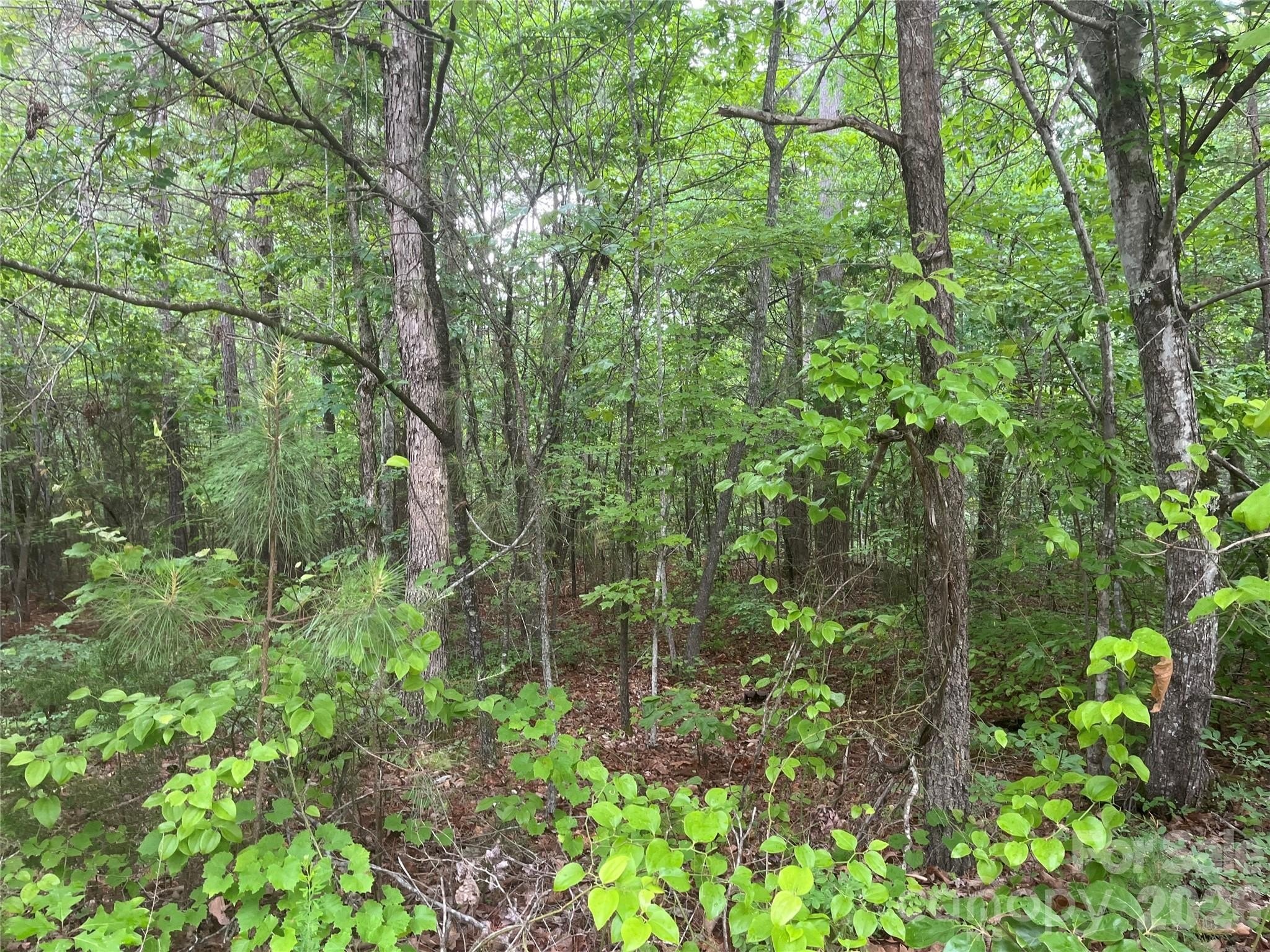 Smyrna Land For Sale