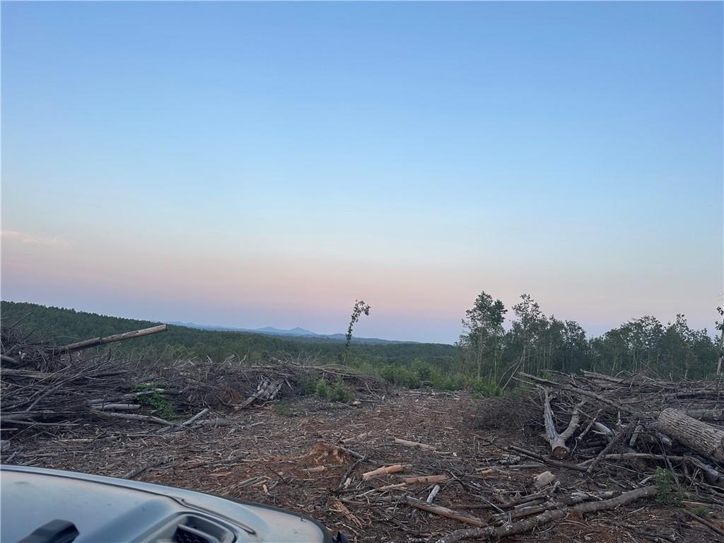 Picture 7
