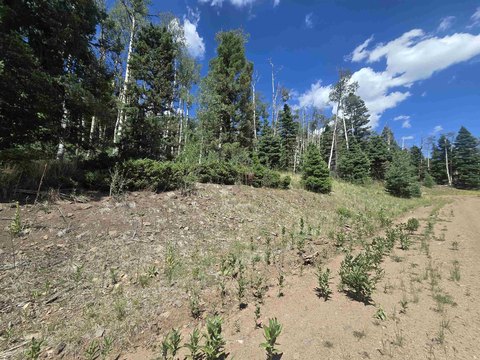 LAND - Angel Fire, NM
