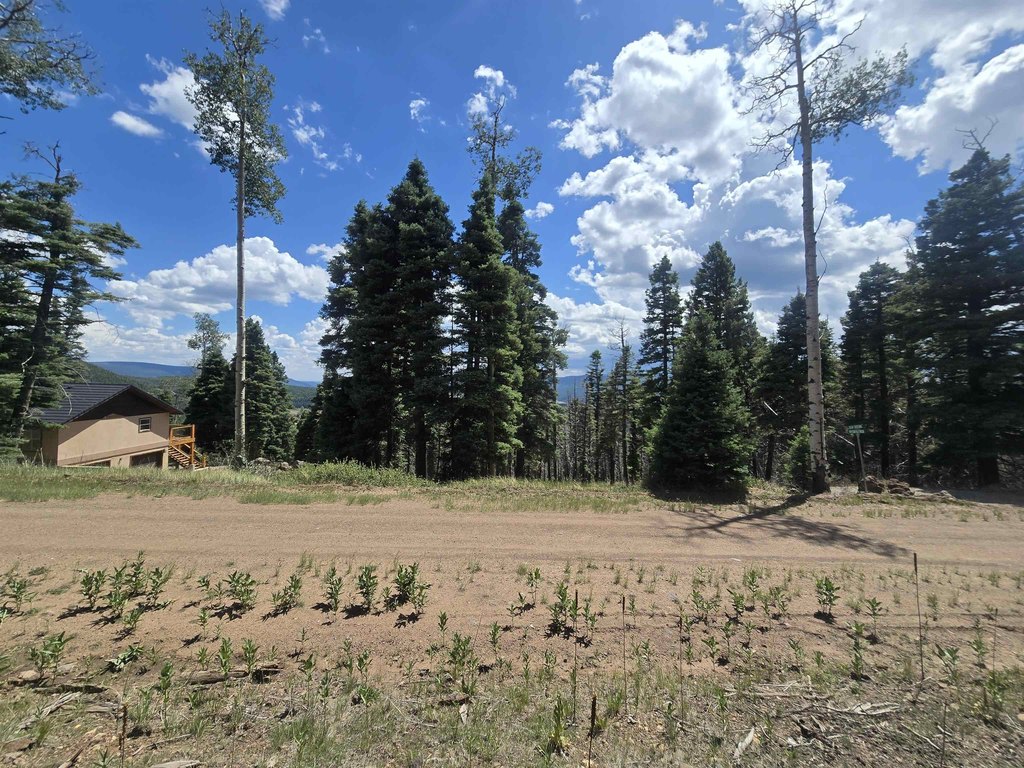 Picture 6
