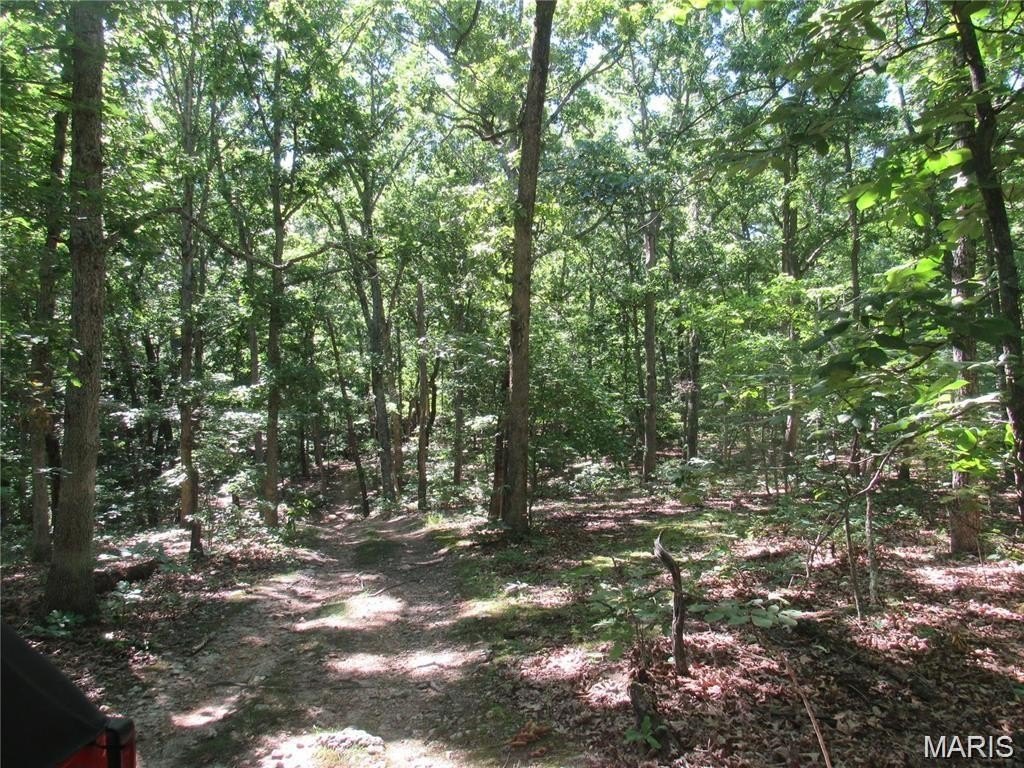 Picture 4