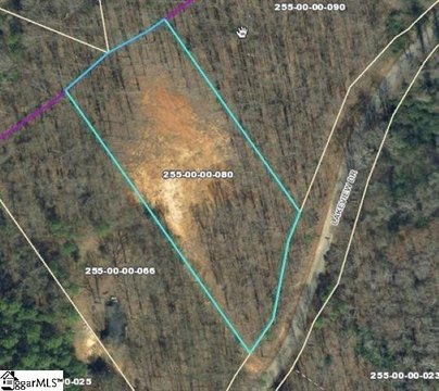 LAND - Gray Court, SC